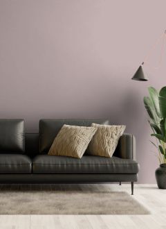 X476