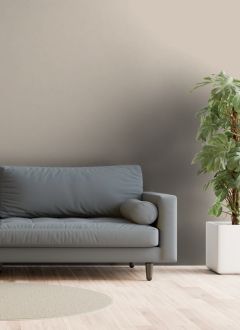 X484 Мусковит