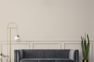 X484 Мусковит