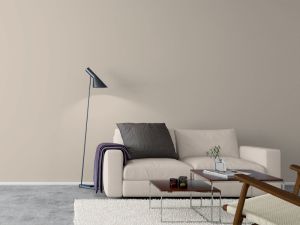 X484 Мусковит