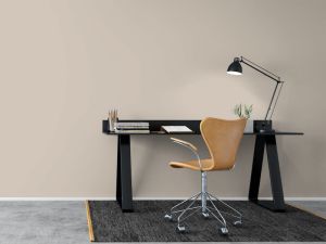 X484 Мусковит