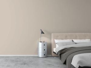 X484 Мусковит