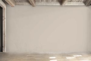 X484 Мусковит