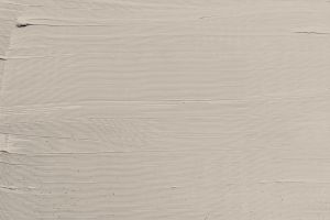 X484 Мусковит