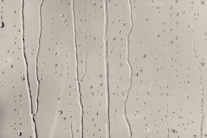 X484 Мусковит