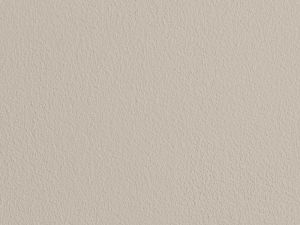 X484 Мусковит