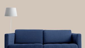 X484 Мусковит