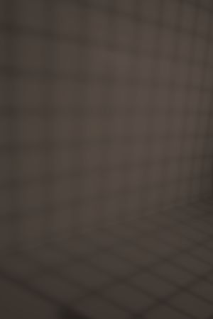 N486 Дымчатый хрусталь