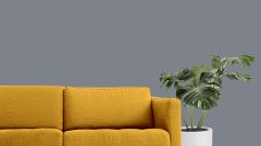 N489