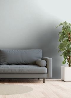 G493