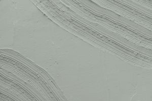 J494