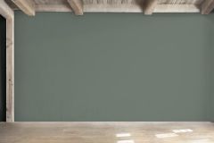 S494