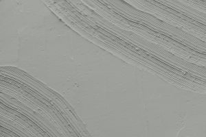 J495