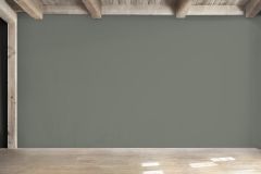S495