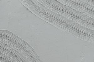 H496