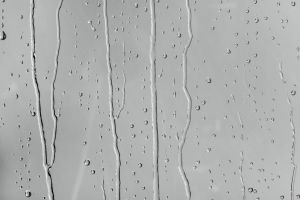 K496