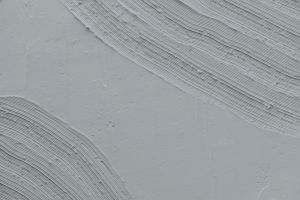 J498
