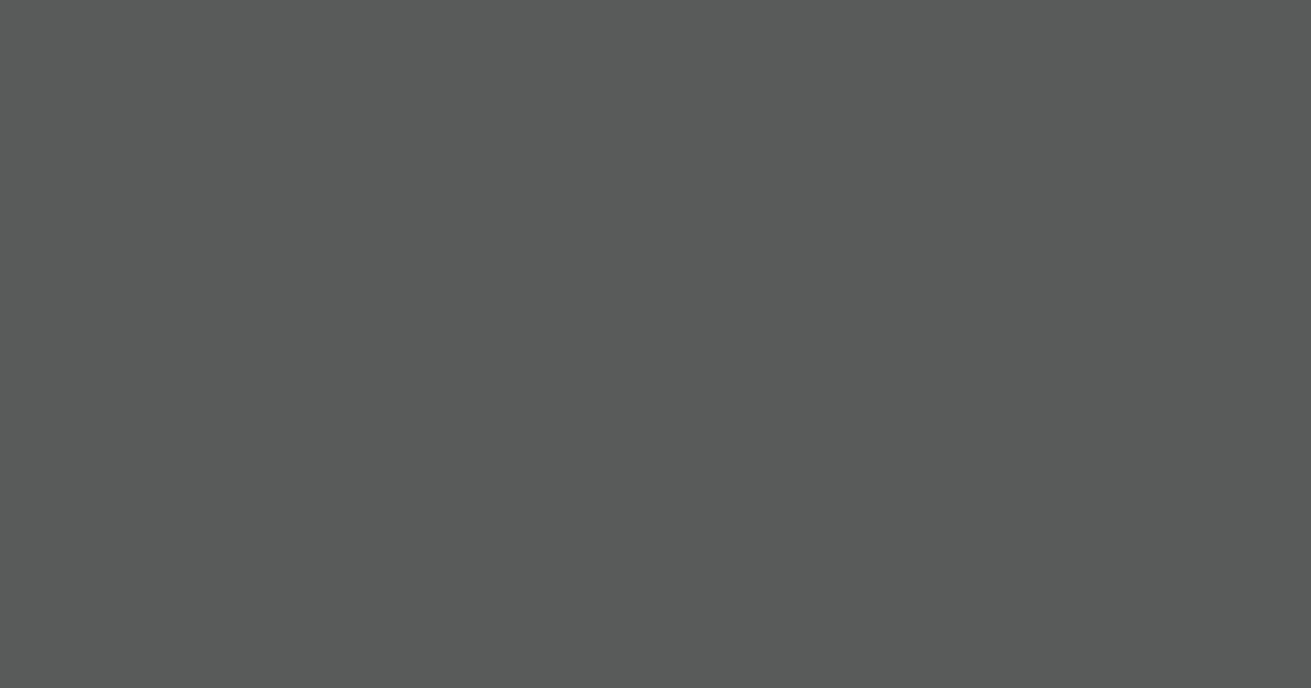 Колір S499 rgb(89, 91, 91)