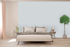 H500
