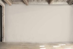 H484 Шелковица