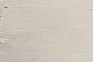 H484 Шелковица