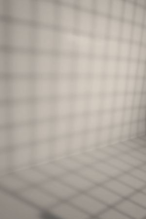 H484 Шелковица