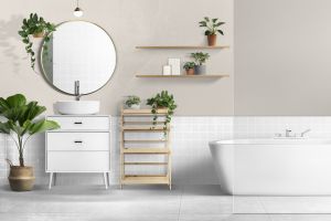 H484 Шелковица