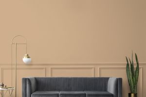 V396 Сладость