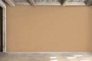 V396 Сладость