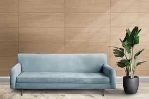 V396 Сладость