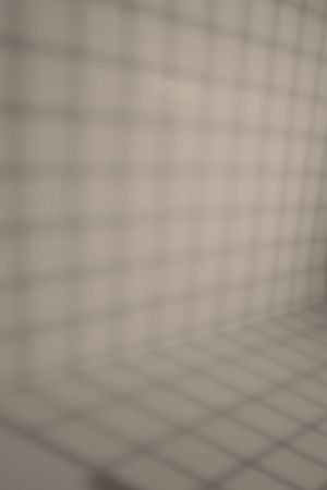 V484 Плавающий лес