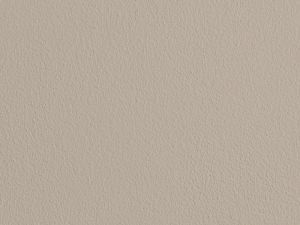 V484 Плавающий лес