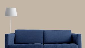 V484 Плавающий лес