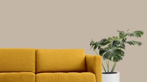 V484 Плавающий лес