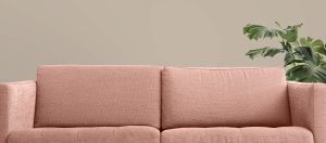 V484 Плавающий лес