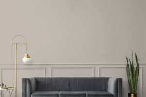 V486 Аргиллит