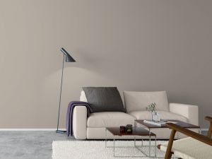 V486 Аргиллит