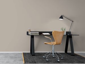 V486 Аргиллит