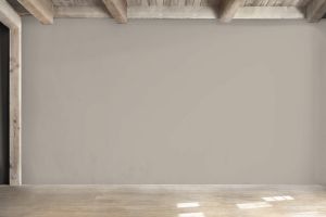 V486 Аргиллит