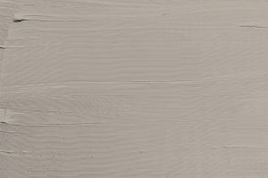 V486 Аргиллит