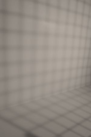 V486 Аргиллит