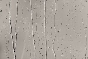 V486 Аргиллит