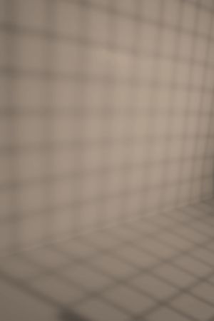 K484 Гранулит