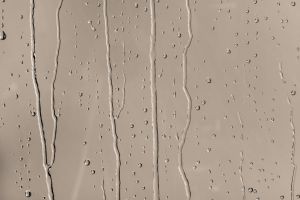 K484 Гранулит