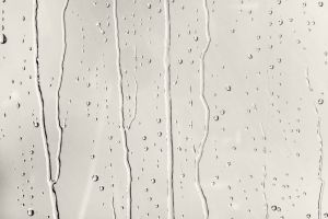 Мед із молоком