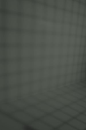 Різнотрав’я