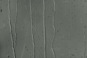 Різнотрав’я