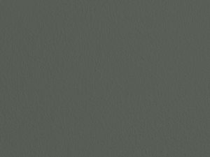 Різнотрав’я