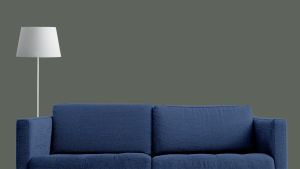 Різнотрав’я