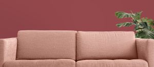 Малинове варення